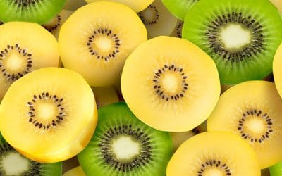 6 Natural Lectin Blockers (and How to Get More of Them)
