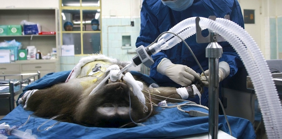Dr. gundry surgeon