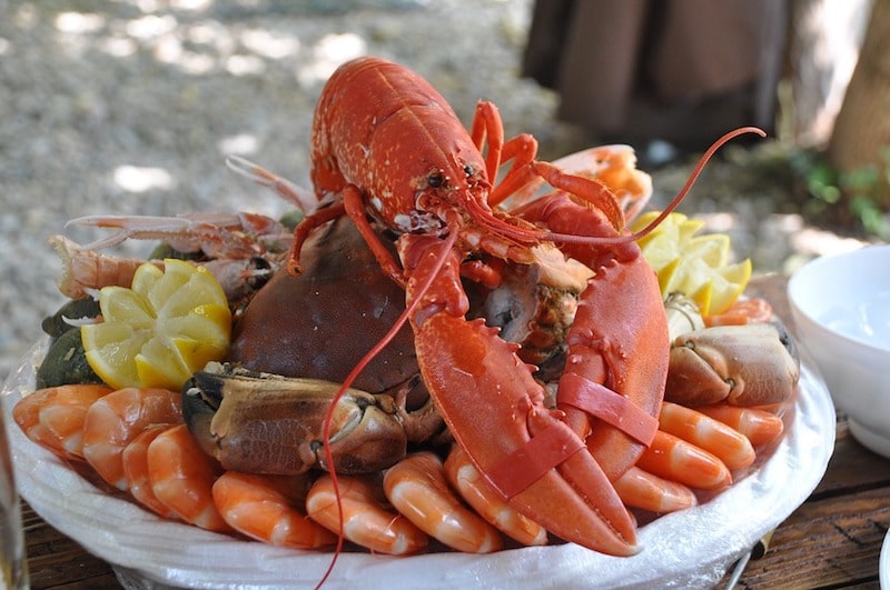 crustaceans lectin blocker