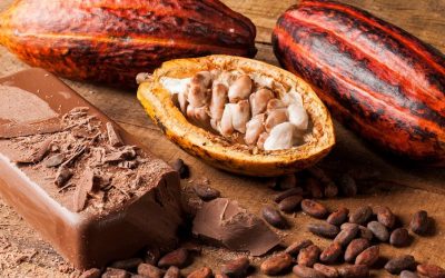 15 Lectin-Free Superfoods Dr. Gundry Recommends