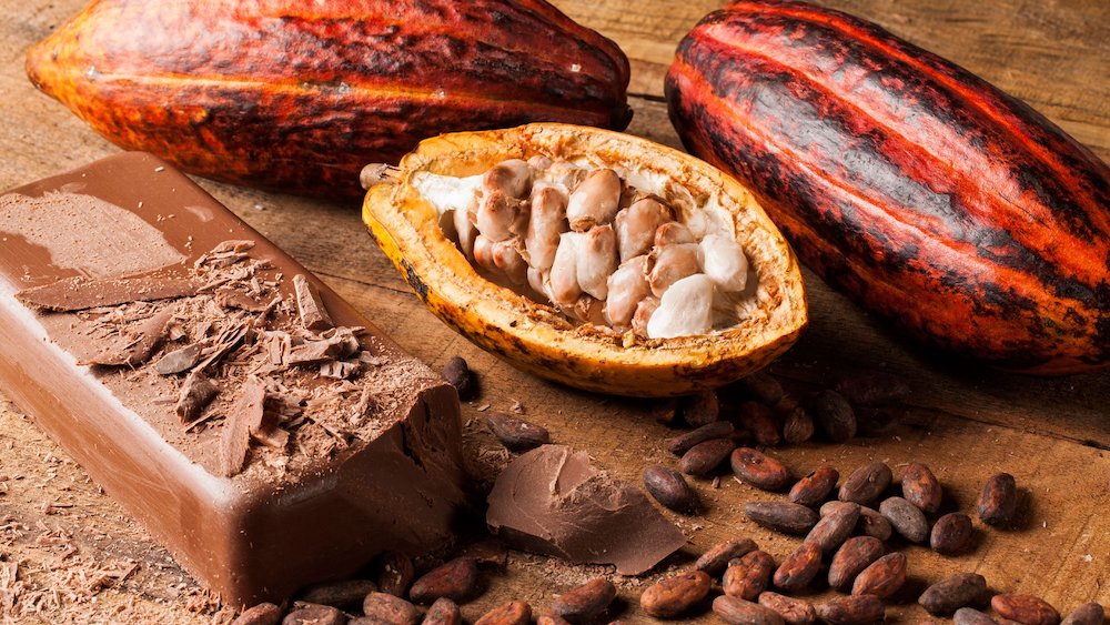 15 Lectin-Free Superfoods Dr. Gundry Recommends