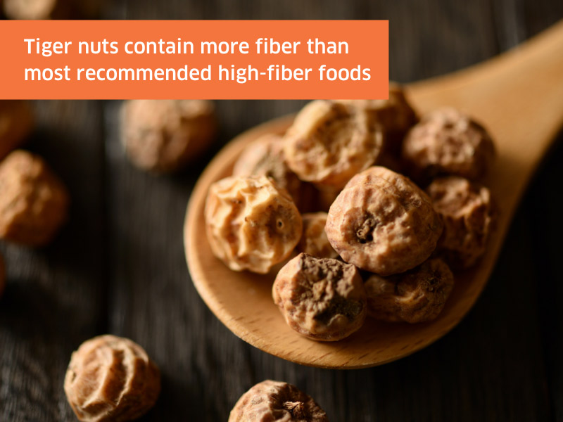 humanfoodbar-photo-snippet-tiger-nut-health-benefit Rich in Micronutrients