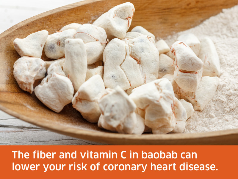 humanfoodbar-snippet-health-benefits-baobab Fiber and vitamin C in baobab