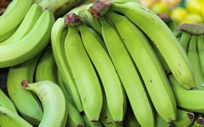 5 Green Banana Flour Health Benefits (#4 May Surprise You)