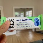 IQBAR wild blueberry protein bar
