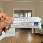 IQBAR wild blueberry protein bar