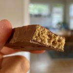 IQBAR wild blueberry protein bar