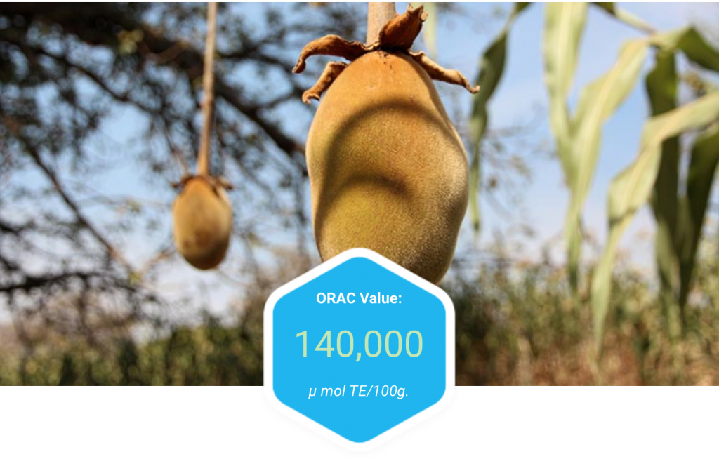 Baobab fruit ORAC value