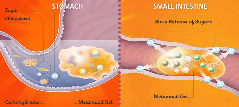 Metamucil's daily fiber intake mechanism in action