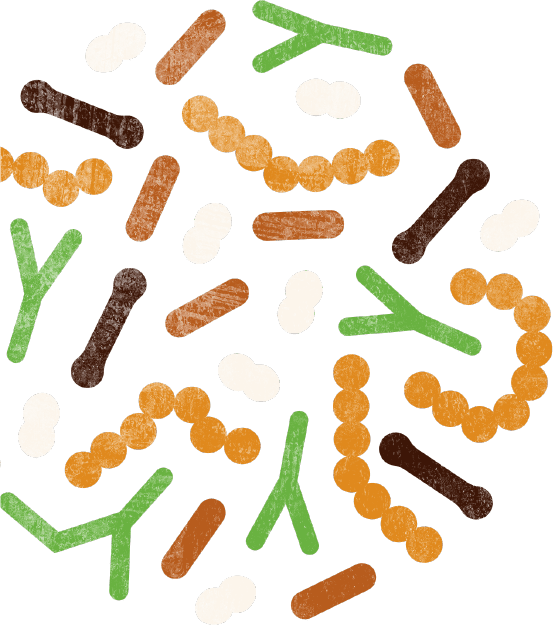 whatsinside-superfood-img superfood img