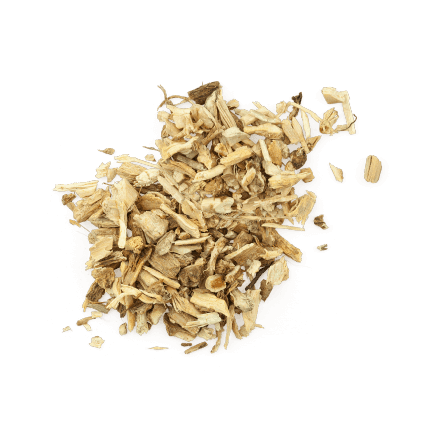 Chicory Root