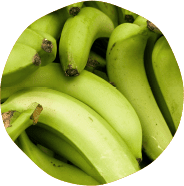prebiotic-img-02