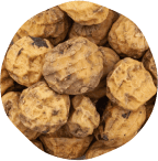 prebiotic-img-03